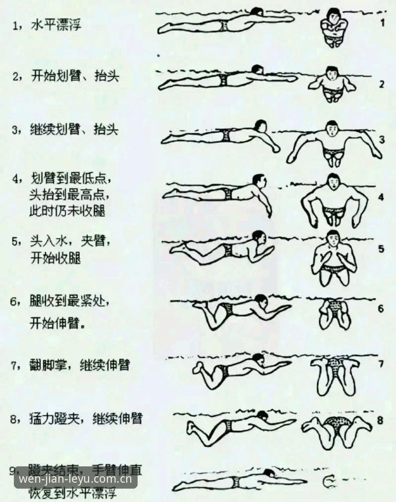 乐鱼官网中国官方主页CN站 深度揭秘:乐鱼体育平台CN站用户高频问号,哪些才是真的“上岸姿势”?